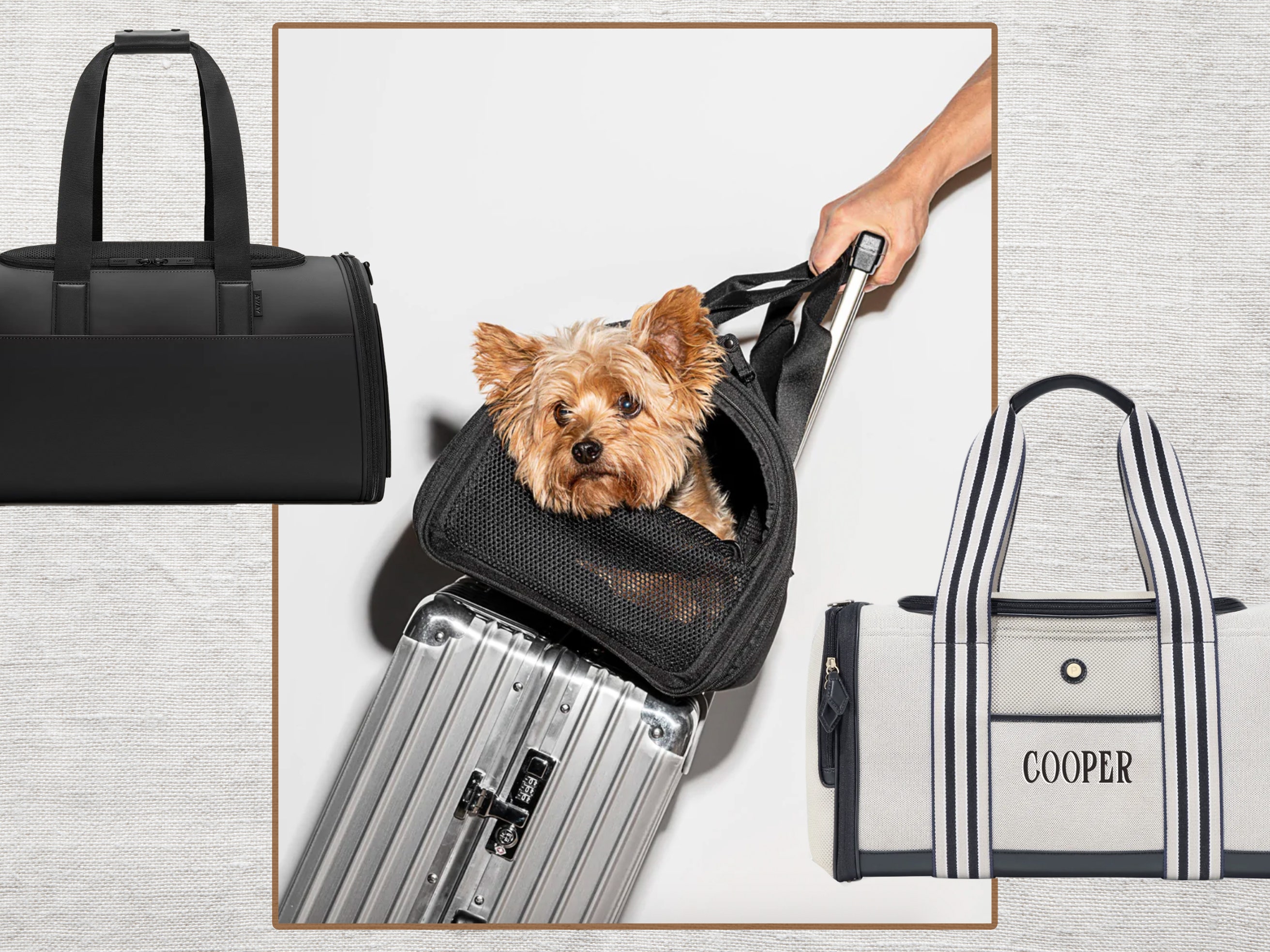 12 Essential Dog Travel Accessories for Pet Owners | Condé Nast Traveler